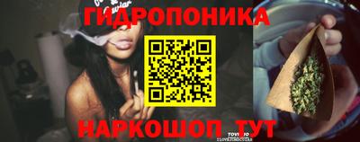 PSILOCYBIN Изобильный