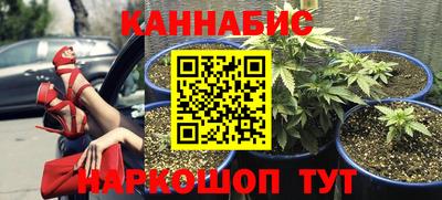 PSILOCYBIN Изобильный